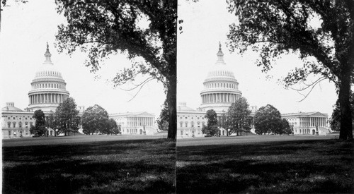 The Capitol, East Front and Grounds, Wash., D.C