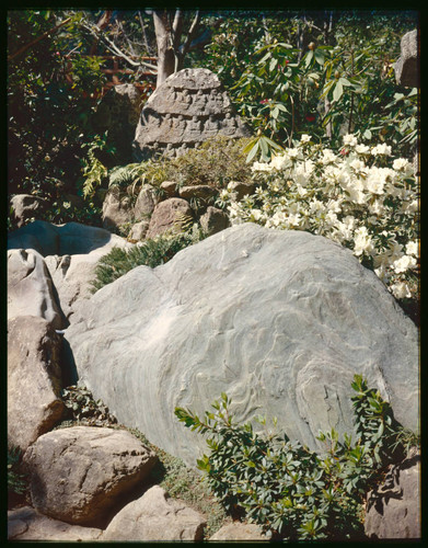 Guiberson, Gordon, Japanese garden. rock and sculpture