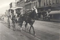 Armistice Day, Only Horse in Parade