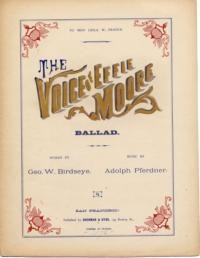 The voice of Effie Moore : ballad / words by Geo. W. Birdseye ; music by Adolph Pferdner