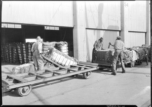 Workers loading bales of cotton into a warehouse at Los Angeles Harbor