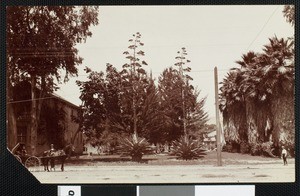 Exterior view of Dr. Millikan's residence in Upland, ca.1900
