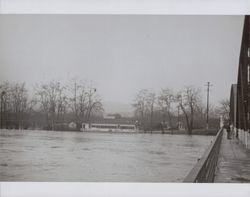 Russian River flood at Healdsburg, California, 1937