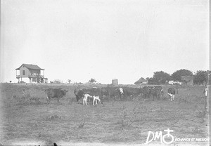 Mission station, Matutwini, Mozambique, ca. 1896-1911