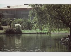 Pond at Sonoma State University, 1801 East Cotati Avenue, Rohnert Park, California, September 1977