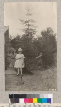 Sylvia Metcalf and a redwood tree her own age in the yard at Berkeley. Both 6 years old. Metcalf. 1928