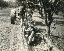 Tractor pulling Knapp Offset Disc Plow in orchard, Catalog Photo 19-A