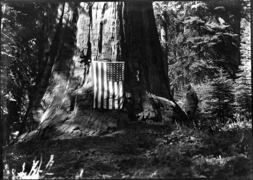 Giant Forest, SNP. Dedications and Ceremonies, President Tree dedication. Col. John R. White, Misc Name Giant Sequoias