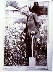 Luther Burbank in his garden, probably in Santa Rosa