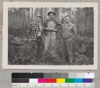 Extension Foresters Metcalf of California, Lunnum of Washington, and Goodmonson of Oregon at Christmas tree meeting Sept. 1952. Stand in the background has been thinned and pruned for Christmas tree production at a cost of $50.00 per acre