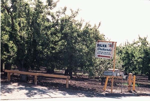 Silva Apple Orchards