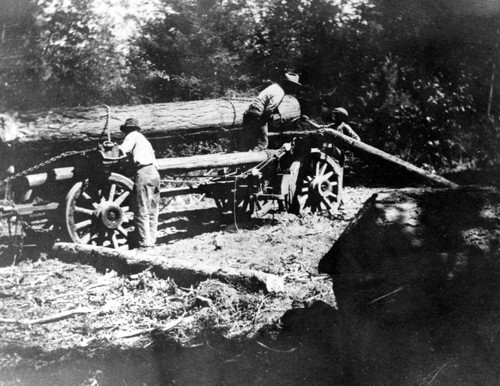 Lumbermen and Logging wagon