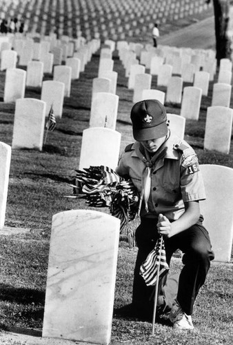 Scouts plant flags at cemetery
