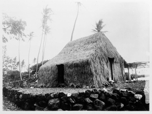 Hawaii. Native house of fisherman