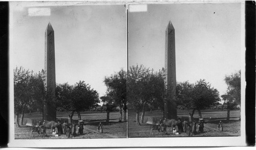 The Sole Survivor of a Great City. The Obelisk of Heliopolis, Egypt