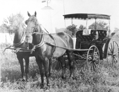Morehead Ranch carriage