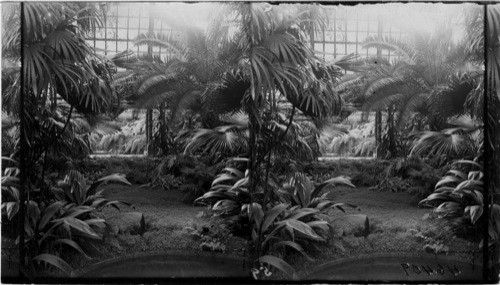 Douglas Park Conservatory & Green Houses, Chicago, Ill