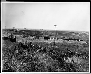 View of the Old Town cemetery in San Diego, ca.1898