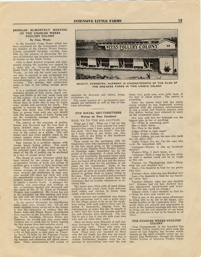 Intensive Little Farms, 1923 (page 13)