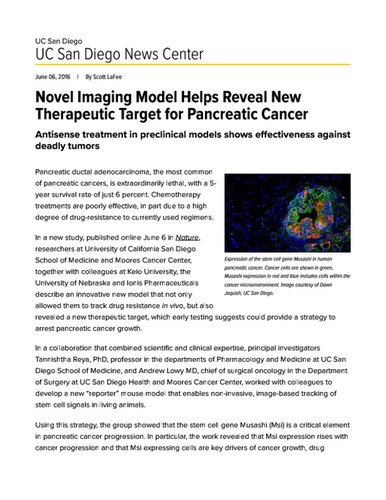 Novel Imaging Model Helps Reveal New Therapeutic Target for Pancreatic Cancer