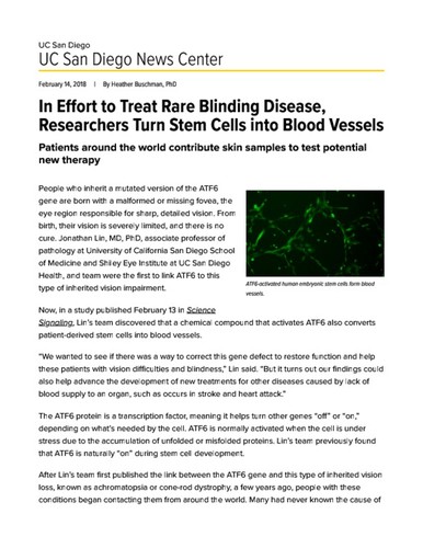 In Effort to Treat Rare Blinding Disease, Researchers Turn Stem Cells into Blood Vessels