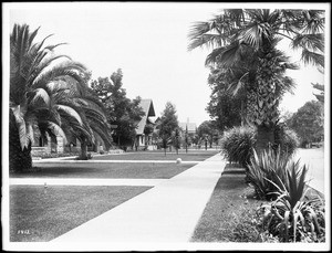 Homes along the sidewalk of Chester Place, Los Angeles, ca.1900-1905