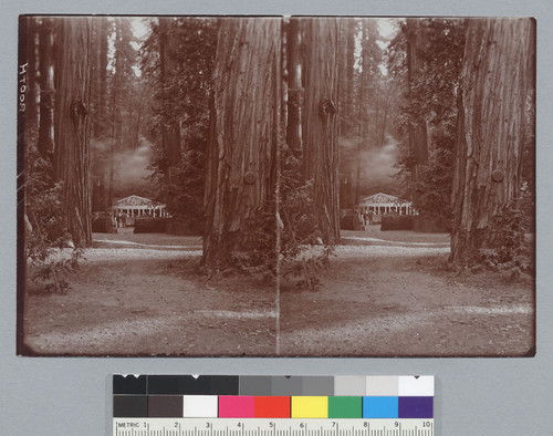 Camp with false facade in distance, Bohemian Grove. [photographic prints]