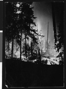 Night view of a forest fire, ca.1920 (1930?)