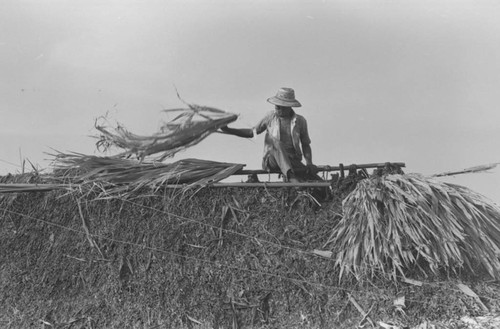Man working on a roof, San Basilio de Palenque, 1976