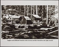 Livereau and Ely Saw Mill, Guerneville, California, April 12, 1873