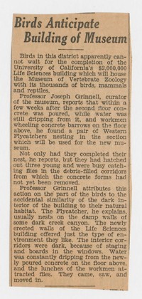 "Birds Anticipate Building of Museum." (newspaper clipping)