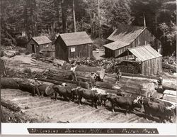Duncans Mills logging operation, California
