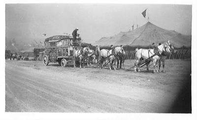 Circus - Calif. - Stockton: Unidentified man standing on horse-drawn circus wagon for Cole Brothers Circus Co