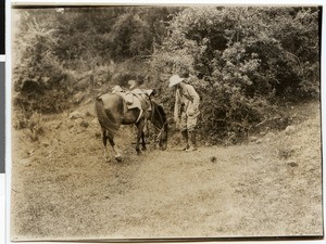 Dietrch Waßmann sen. at the Managasha Mountain, Ethiopia, 1928
