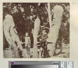 Boy with carved tree trunks, Malakula, ca. 1890