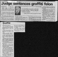 Judge sentences graffiti felon