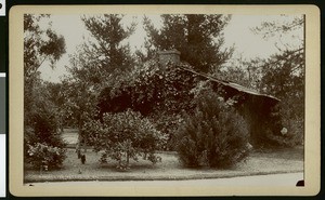 Exterior view of a small house on Carmelita Avenue in Pasadena, ca.1910
