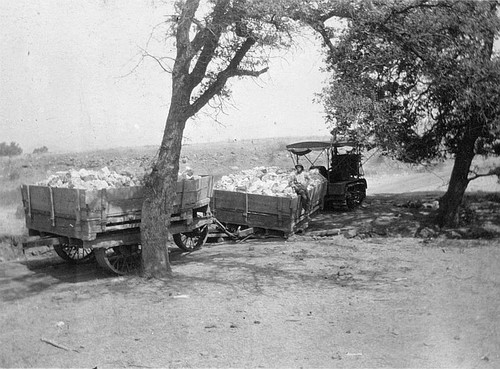 Harvey Munger, Magnesite Mining, Porterville, Calif., ca 1920