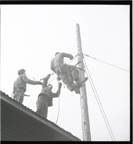 Three servicemen working with cables on pole