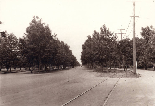 Sacramento Northern Electric Railroad Tracks on The Esplanade