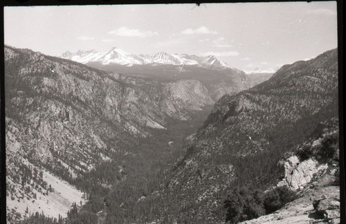 South Fork Kings River Canyon, Mixed Coniferous Forest Plant Community, View up South Fork from Cedar Grove area