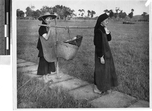 Immaculate Heart Sisters working in fields, Jiangmen, China, ca. 1948