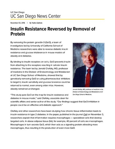 Insulin Resistance Reversed by Removal of Protein
