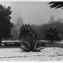 Exterior view of the California State Capitol grounds blanketed with snow