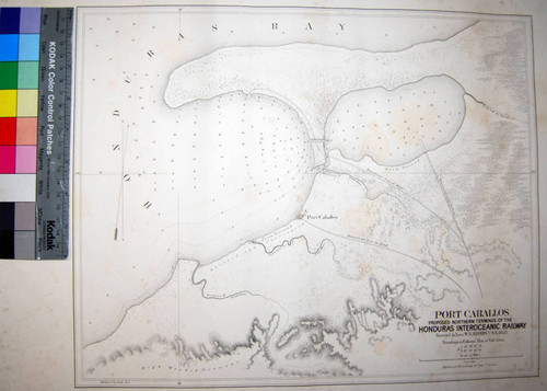 Port Caballos : proposed northern terminus of the Honduras Interoceanic Railway / surveyed by Lieut. W. N. Jeffers, U.S.N