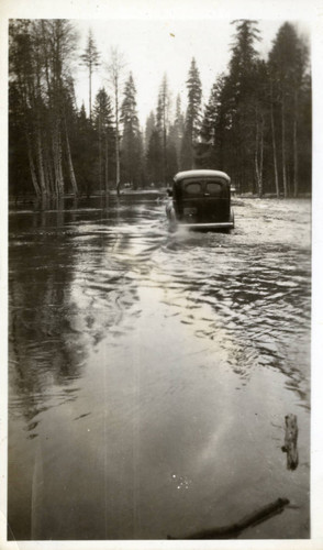 Car drives through flood