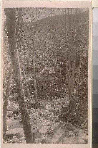 [Camp site, unidentified location.]--7852