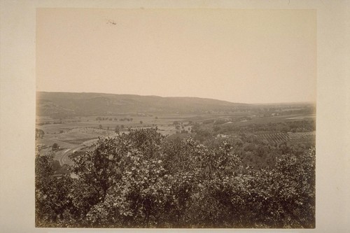 A View across the Upper Sonoma Valley, Looking South, Showing Property of Hon. Wm. McPherson Hill