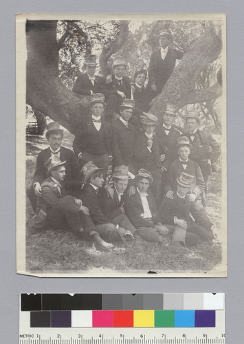 Group portrait of juniors with tree, University of California at Berkeley. [photographic print]