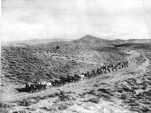 Twenty mule borax team, 1908